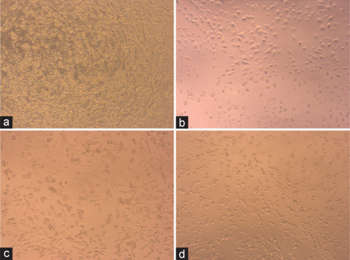 Molecular docking and in vitro anticancer evaluation of potential compounds derived from Indonesian sponge Agelas nakamurai.