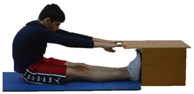 Intrasession and Intersession Reliability of Flexibility Tests During Developmental Years: The Effects of Sport, Age, and Sex.