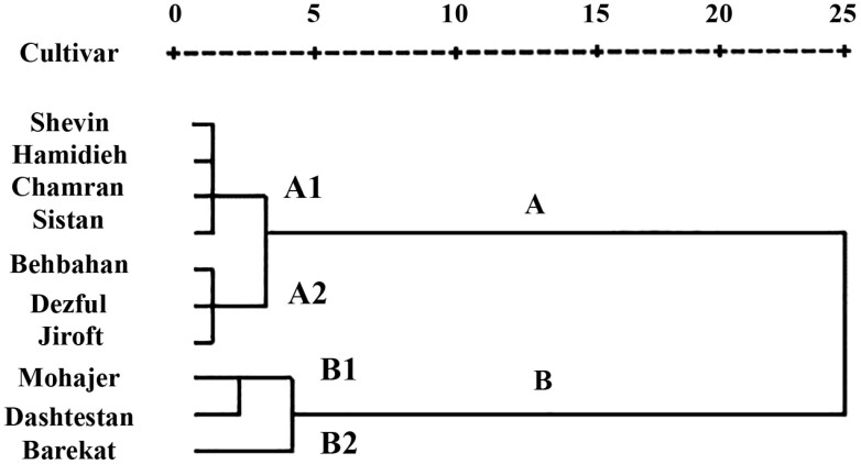 Population growth performance and antioxidant enzymes activities of Helicoverpa armigera (Lepidoptera: Noctuidae) on diets from various sesame cultivars.