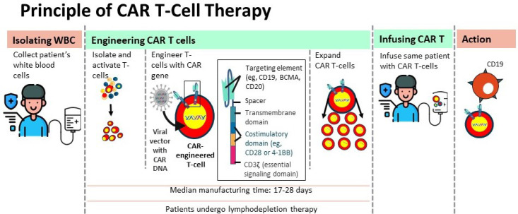 Nephrology's Next Frontier: Expanding the Reach of CAR T-Cell Therapy for Refractory Lupus Nephritis and Beyond.