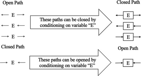 An Open Path to DAG: Navigating Causal Inference in Epidemiological Research.