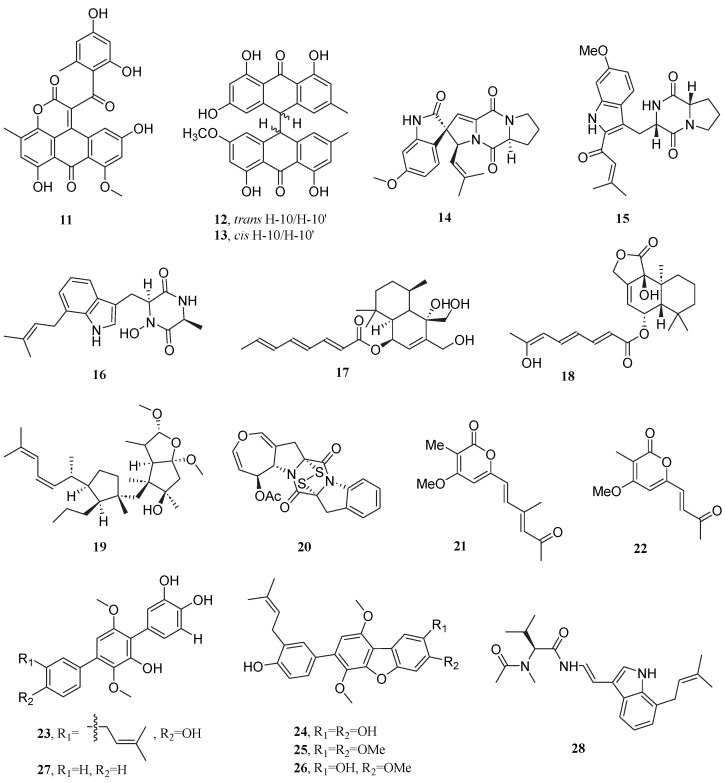 Salt-Adapted Microorganisms: A Promising Resource for Novel Anti-Cancer Drug Discovery.