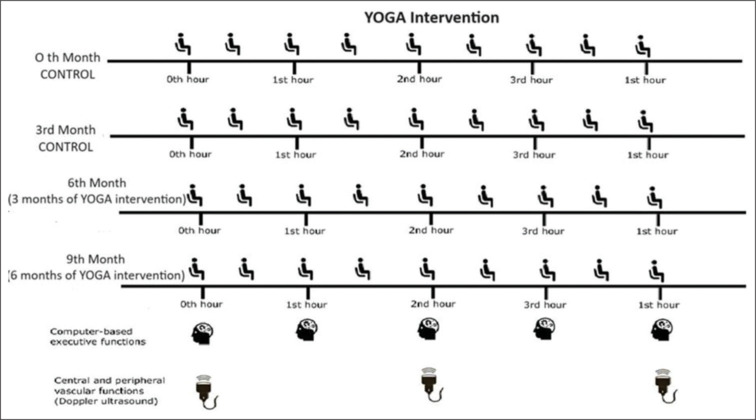 Associations between cognitive function and vascular health in office-based sedentary workers: A six-month yoga intervention.