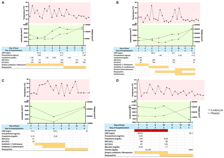 Beyond the Fever: A Serial Report on Moderate to Severe Murine Typhus Cases and Diagnostic Hurdles in Indonesia.