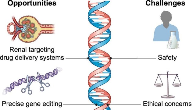 CRISPR and gene editing for kidney diseases: where are we?