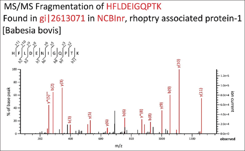 Development and validation of a recombinant Rap1-based lateral flow immunoassay for rapid serodiagnosis of bovine babesiosis in Kazakhstan.