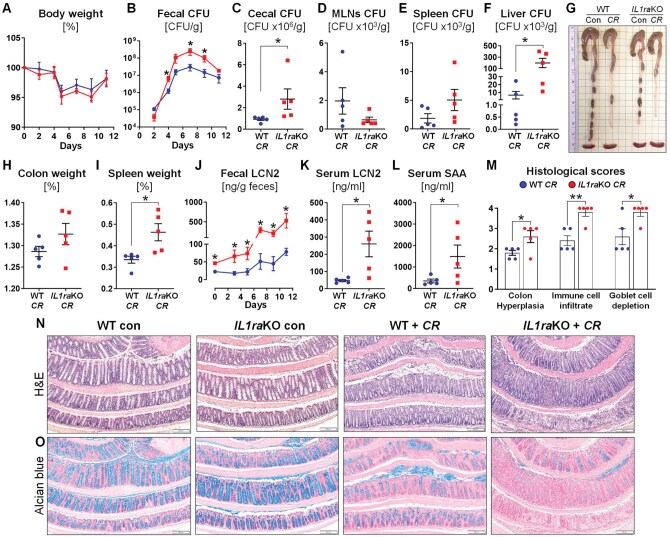 Deficiency of interleukin-1 receptor antagonist aggravates Citrobacter rodentium infection in mice.