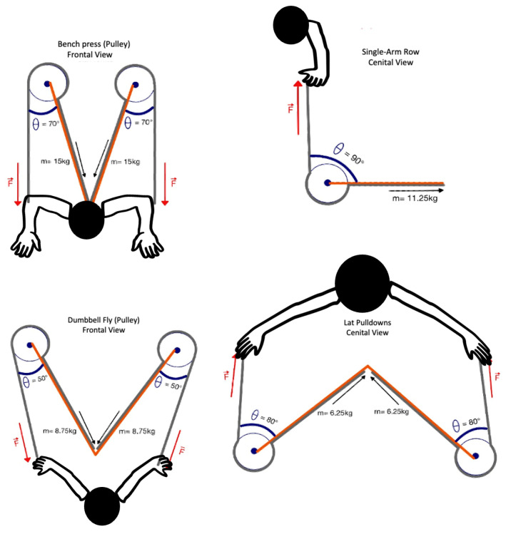 Force Profile Characteristics of Gravitational and Pneumatic Resistances in Pull and Push Exercises.