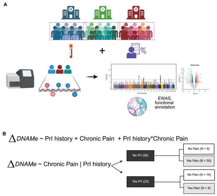 Epigenomic Interactions Between Chronic Pain and Recurrent Pressure Injuries After Spinal Cord Injury.