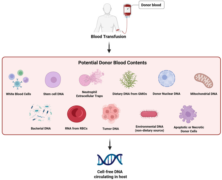 Beyond the Blood Cell: The Emerging Role of Cell-Free DNA in Transfusion Medicine.