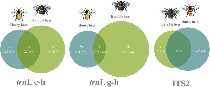 Comparing the spring diet of buff-tailed bumble bees and honey bees (Hymenoptera: Apidae) in a forest landscape: a metabarcoding approach.