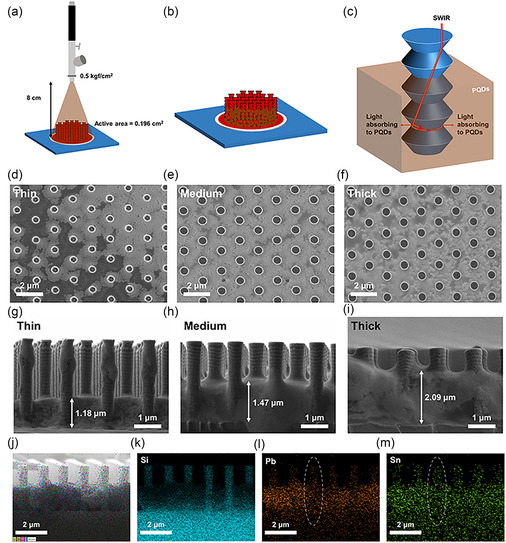 Perovskite Quantum Dot-Enhanced Silicon Photodetectors for High-Performance Infrared Sensing.