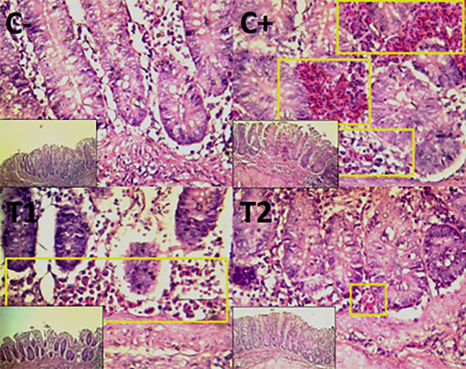 Mycotoxin binder for immune and intestinal histopathology ameliorations against Newcastle disease in vaccinated broilers.