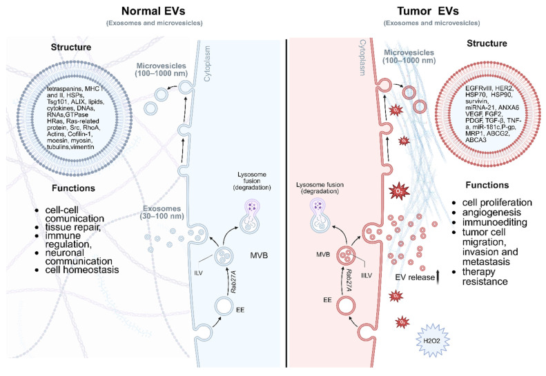 On the dilemma of using single EV analysis for liquid biopsy: the challenge of low abundance of tumor EVs in blood.