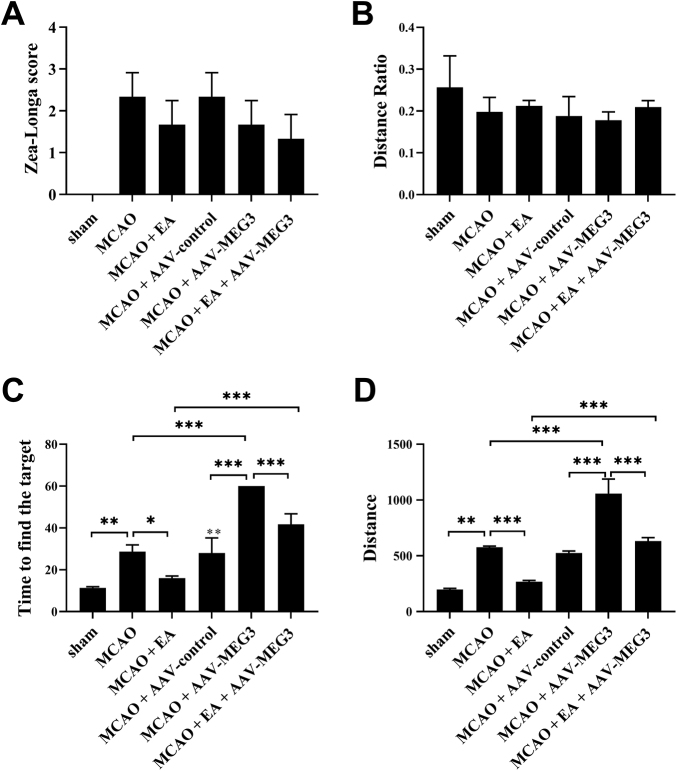 Electroacupuncture therapy improves cognitive dysfunction after ischemic stroke in Sprague-Dawley rats by adjusting the lncRNA-MEG3/miR-4640-3p axis.