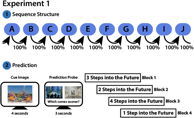 Successful Prediction Is Associated With Enhanced Encoding.