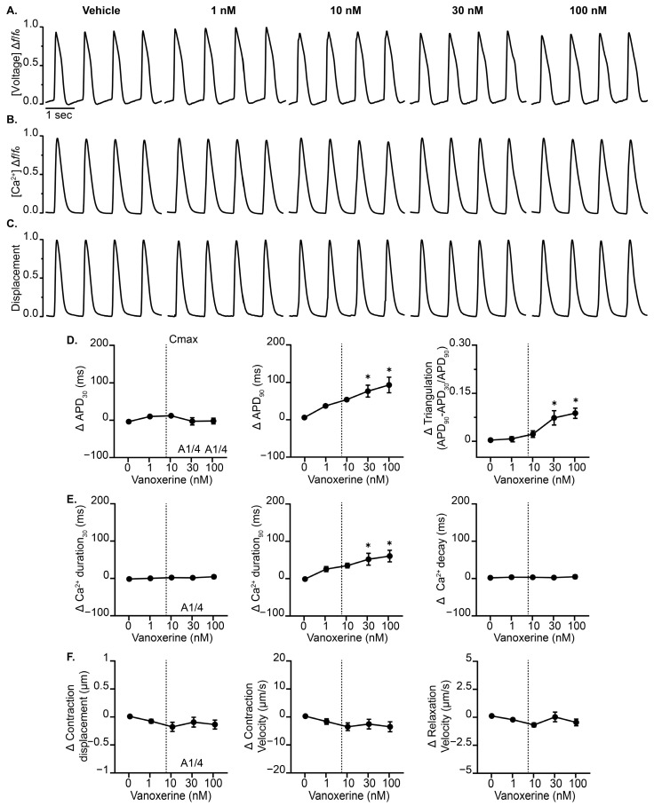 Nonclinical Human Cardiac New Approach Methodologies (NAMs) Predict Vanoxerine-Induced Proarrhythmic Potential.