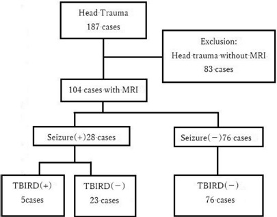 Clinical characteristics of infantile traumatic brain injury with a biphasic clinical course and late reduced diffusion among pediatric patients with traumatic brain injury.