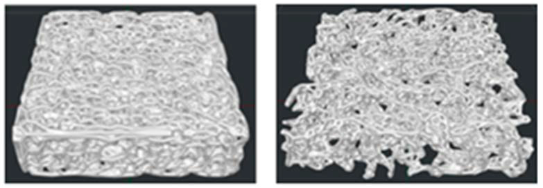 Three-Dimensional-Printed Biomimetic Scaffolds for Investigating Osteoblast-Like Cell Interactions in Simulated Microgravity: An In Vitro Platform for Bone Tissue Engineering Research.