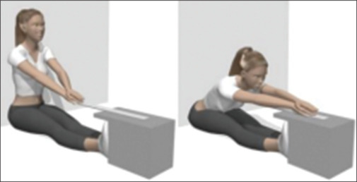 Health promotion through movement: Examining the correlation between lower extremity flexibility, balance, and demographic factors.