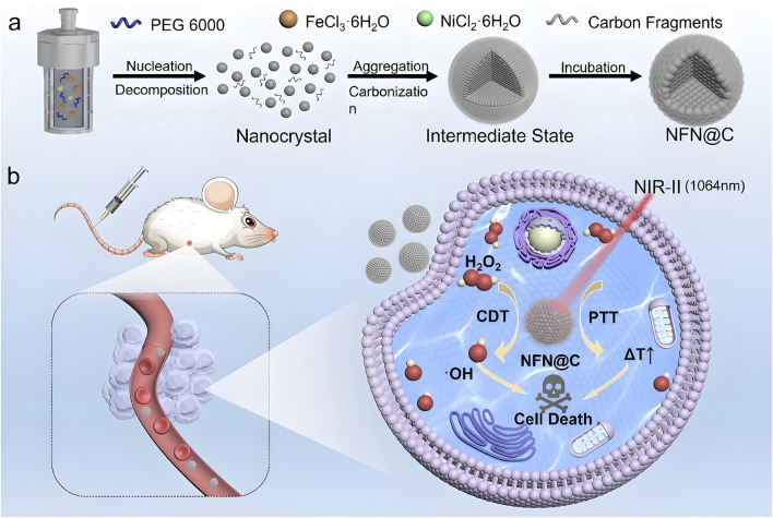 Nickel nanoparticles: a novel platform for cancer-targeted delivery and multimodal therapy.