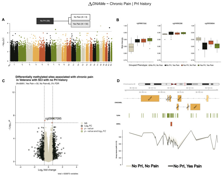 Epigenomic Interactions Between Chronic Pain and Recurrent Pressure Injuries After Spinal Cord Injury.