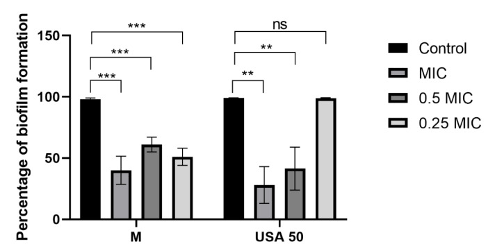 Unveiling the antimicrobial, biofilm inhibition, and photoprotective potential of Bupleurum falcatum L. for dermatological applications.