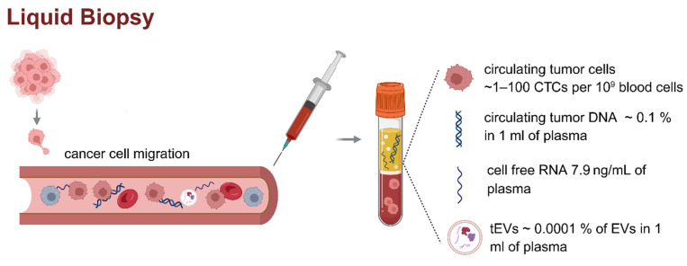 On the dilemma of using single EV analysis for liquid biopsy: the challenge of low abundance of tumor EVs in blood.