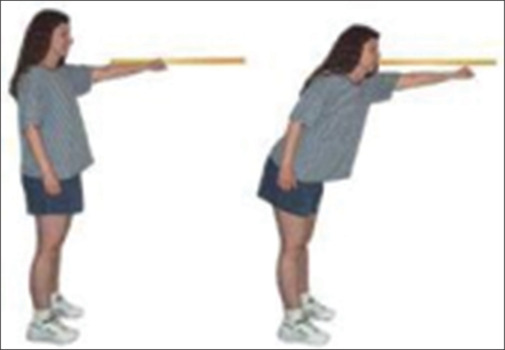 Health promotion through movement: Examining the correlation between lower extremity flexibility, balance, and demographic factors.