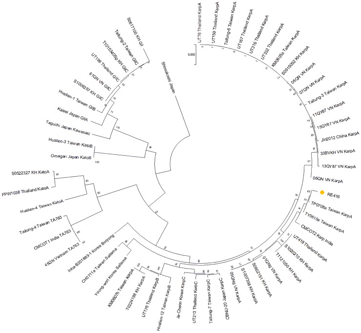 Severe Scrub Typhus with Acute Kidney Injury: Urine PCR Evidence from an East Coast Malaysian Cluster.
