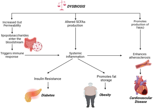 Role of gut microbiota in the pathogenesis of metabolic syndrome: an updated comprehensive review from mechanisms to clinical implications.