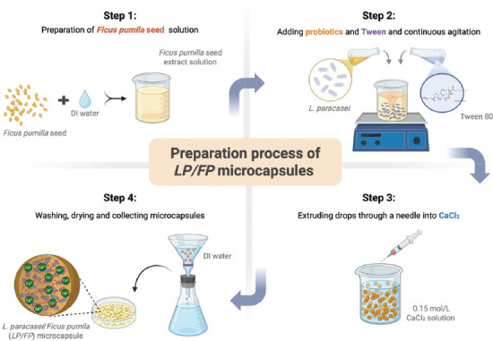 Eco-friendly microencapsulation of <i>Lacticaseibacillus paracasei</i> using <i>Ficus pumila</i> seed extract: A novel plant-based delivery system enhancing probiotic stability and gastrointestinal tolerance.
