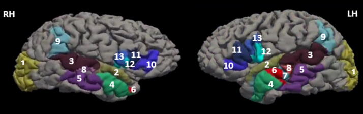 Longitudinal Multimodal Magnetic Resonance Imaging Reveals Improvement in Verbal Fluency Over Time in Moderate-to-Severe Traumatic Brain Injury.