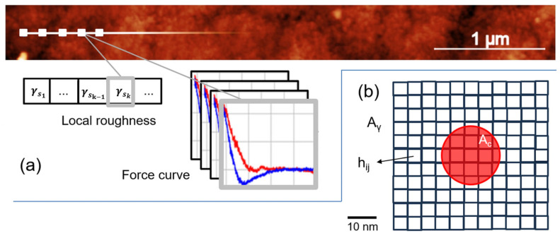 On the Interplay Between Roughness and Elastic Modulus at the Nanoscale: A Methodology Study with Bone as Model Material.