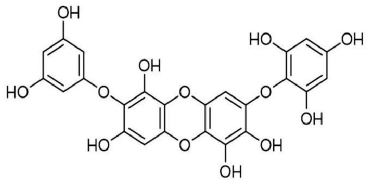 Examples of Underexploited Marine Organisms in Cosmeceutical Applications.