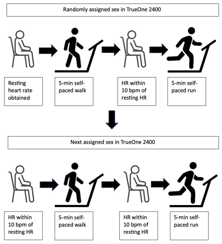 Binary Sex Input Has No Effect on Metabolic or Pulmonary Variables: A Within-Subjects Observational Study.
