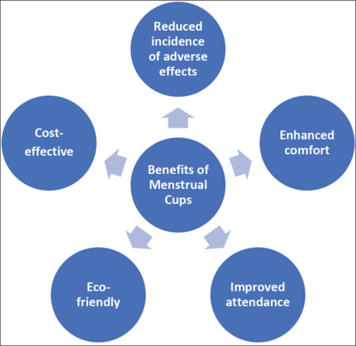 Menstrual Cup use among Nulliparous Women: Breaking Taboos and Empowering Communities - A Scoping Review.
