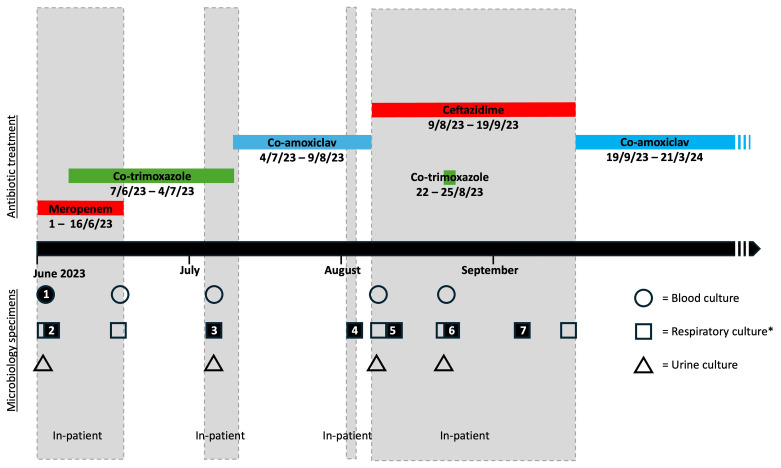 Case Report: Genetic evolution of <i>Burkholderia pseudomallei</i> during treatment leading to antibiotic resistance and disease relapse.