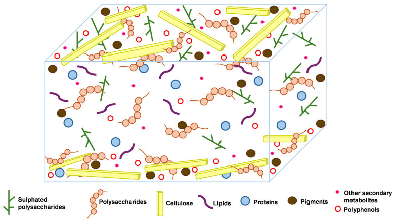 Role of Enzyme Technologies and Applied Enzymology in Valorising Seaweed Bioproducts.