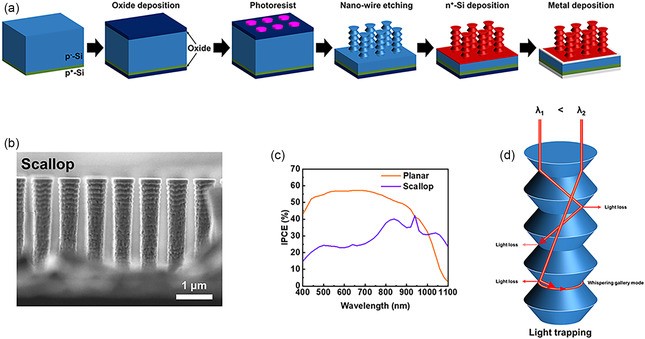 Perovskite Quantum Dot-Enhanced Silicon Photodetectors for High-Performance Infrared Sensing.