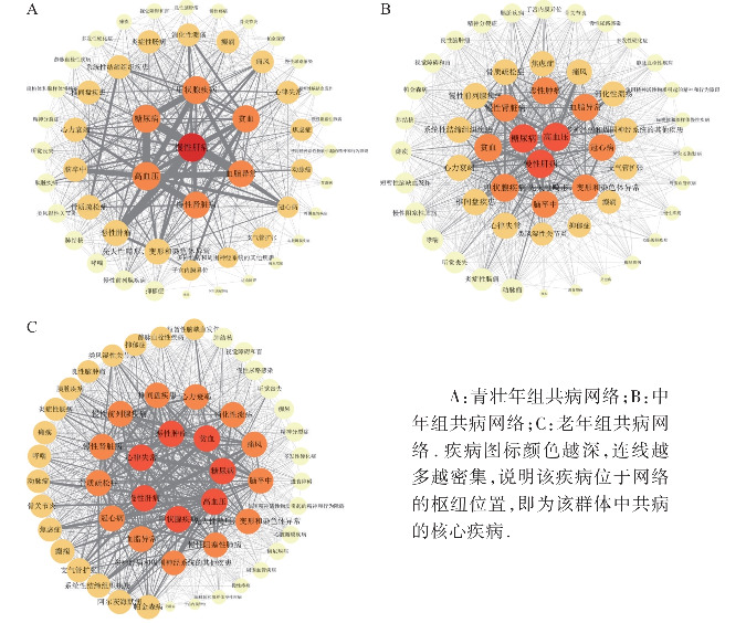 [Multimorbidity patterns and associated hospitalization costs among different age groups of patients in a single medical center].
