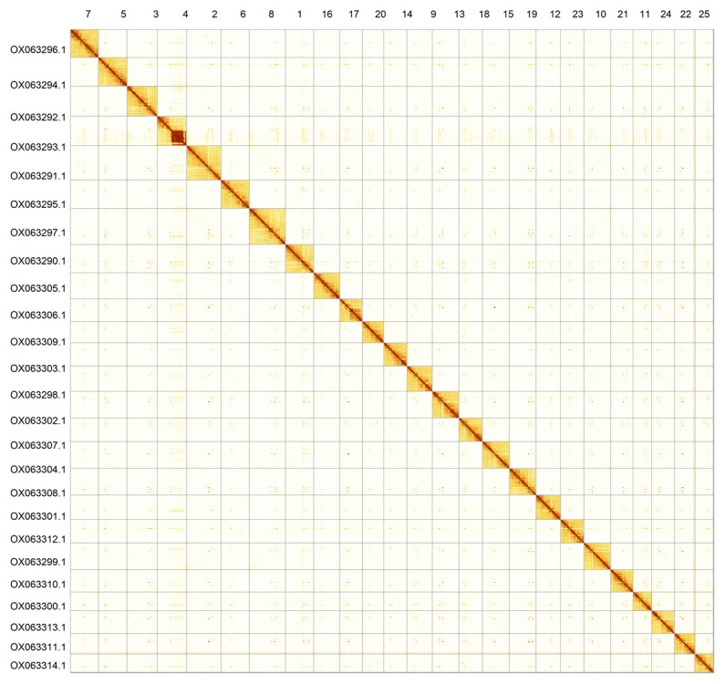 The genome sequence of the zebra danio, <i>Danio rerio</i> (Hamilton, 1822) (Cypriniformes: Danionidae).