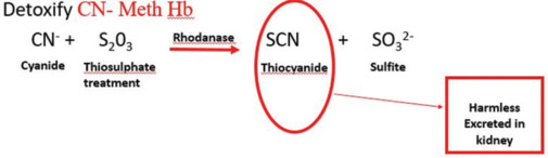 Critical Role of Antidotes in Managing Toxicological Emergencies: Historical Evolution, Categorization, and the Importance of Antidote Banking - A Review of Literature.