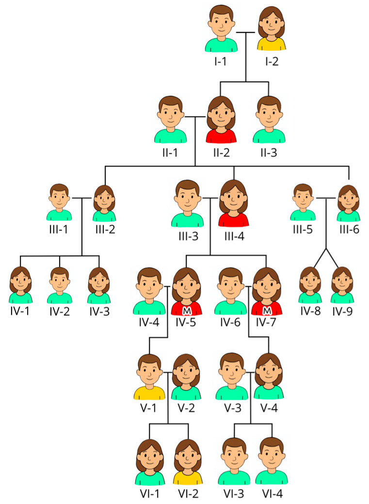 <i>ANKRD26</i> Gene Mutation and Thrombocytopenia-Is the Risk of Malignancy Dependent on the Mutation Variant?