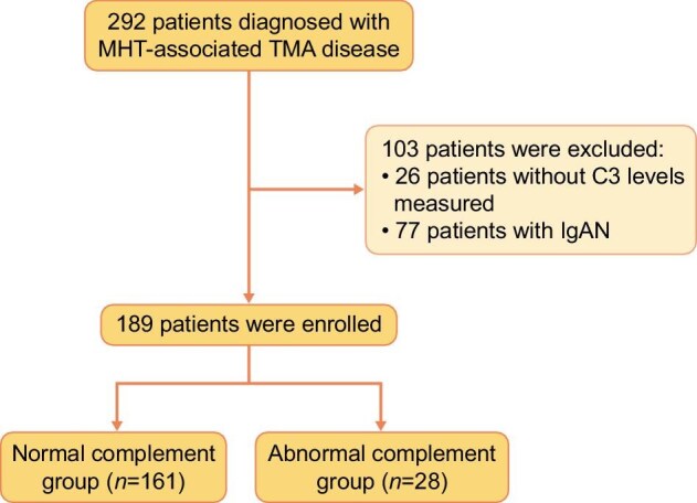 Complement abnormality predisposes to the development of malignant hypertension-associated thrombotic microangiopathy disease.