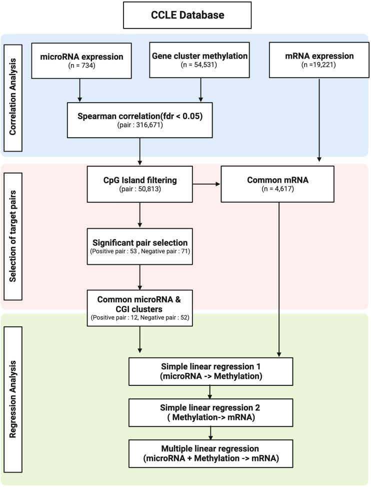 Investigating miRNA-driven DNA methylation: Statistical evidence of gene-specific modulation.