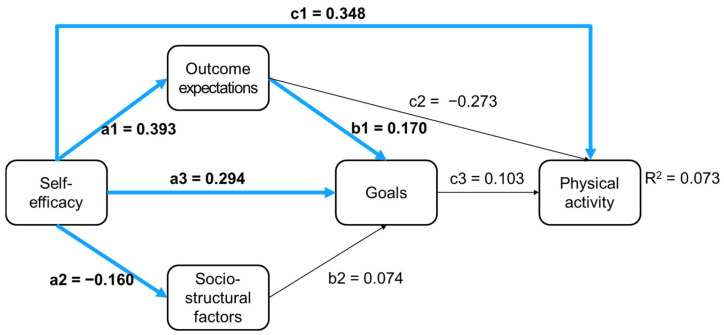 Social Cognitive Theory and Physical Activity: Examining Gender-Based Prediction Patterns and Theoretical Validity.