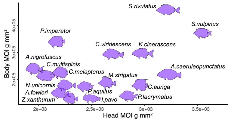 Twist and Snout: Head and Body Morphologies Determine Feeding Kinematics in Substrate-Biting Fishes.