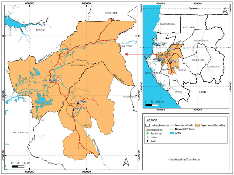 Polyparasitic Infections: Associated Factors and Effect on the Haemoglobin Level of Children Living in Lambaréné Remote and Surrounding Rural Areas from Gabon-A Cross-Sectional Study.