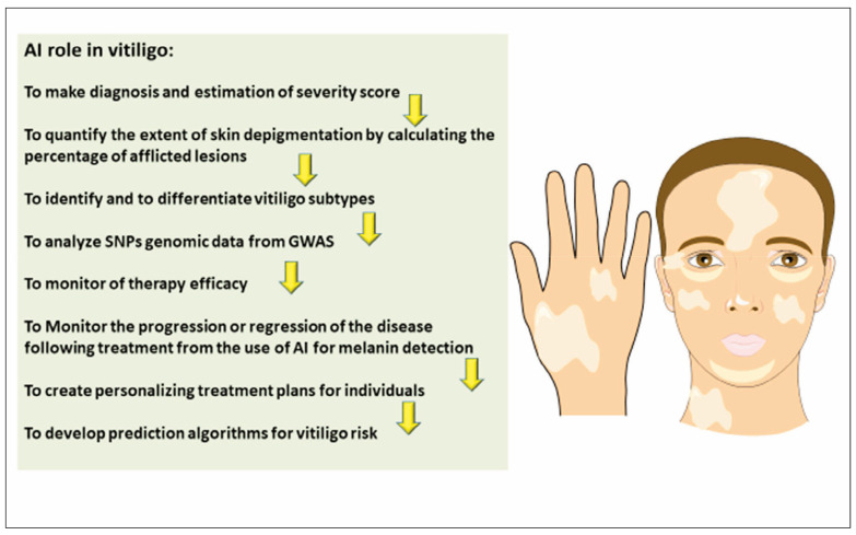 Unraveling genetic predisposition and oxidative stress in vitiligo development and the role of artificial intelligence (AI) in diagnosis and management.